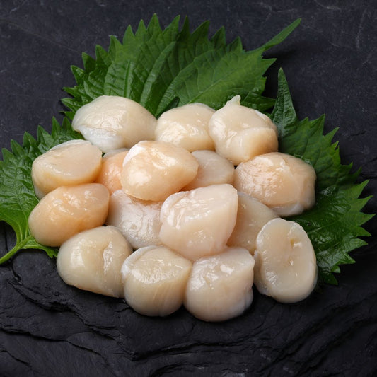 Scallops Hokkaido (Frozen) - 908g